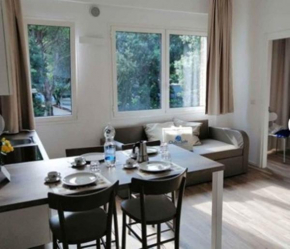 Apartments in Lido di Jesolo 42881